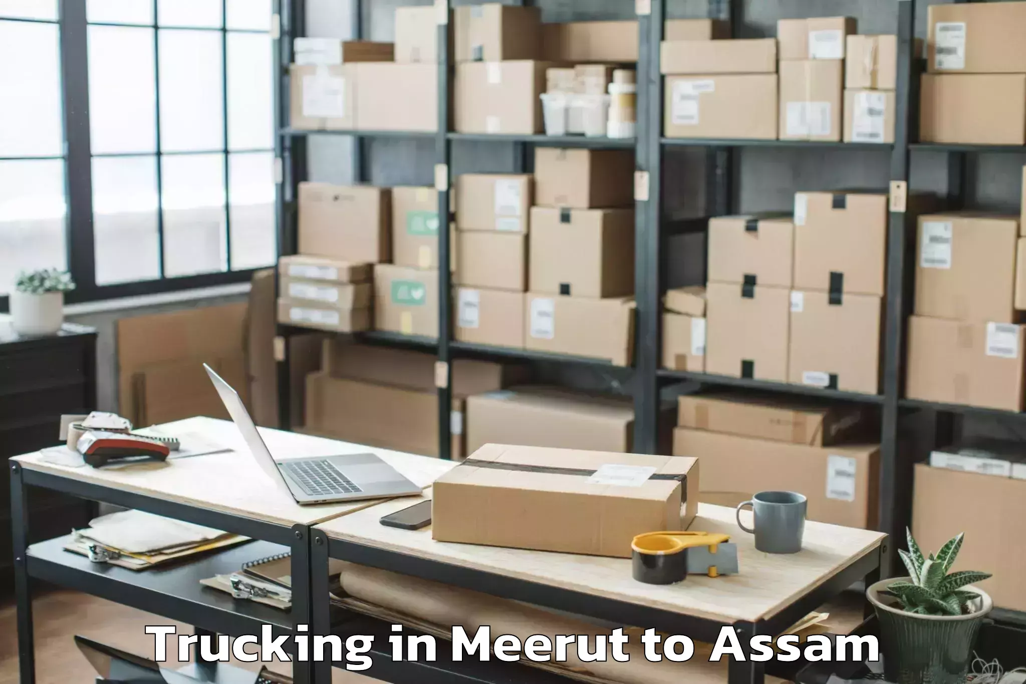 Leading Meerut to Dimow Trucking Provider